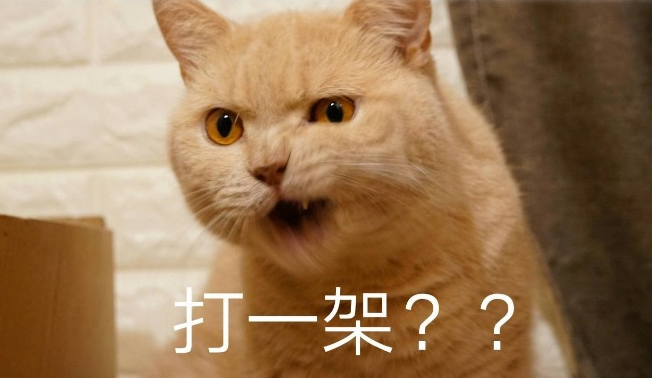 表情包产业靠什么“上位”:机遇、玩法与IP 表情包产业靠什么“上位”:机遇、玩法与IP